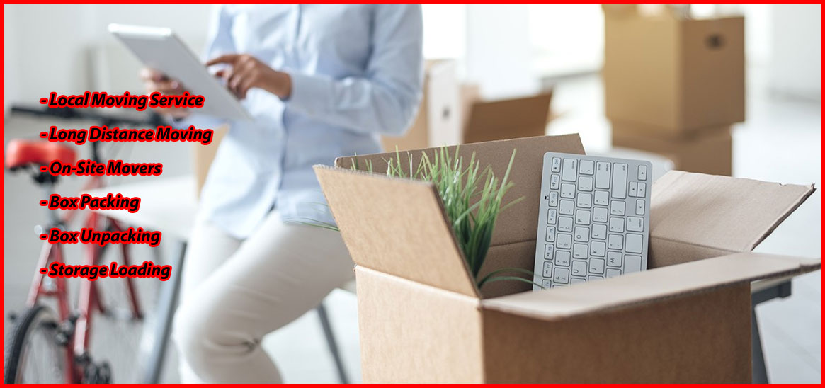 Packers And Movers Noida Sector 55